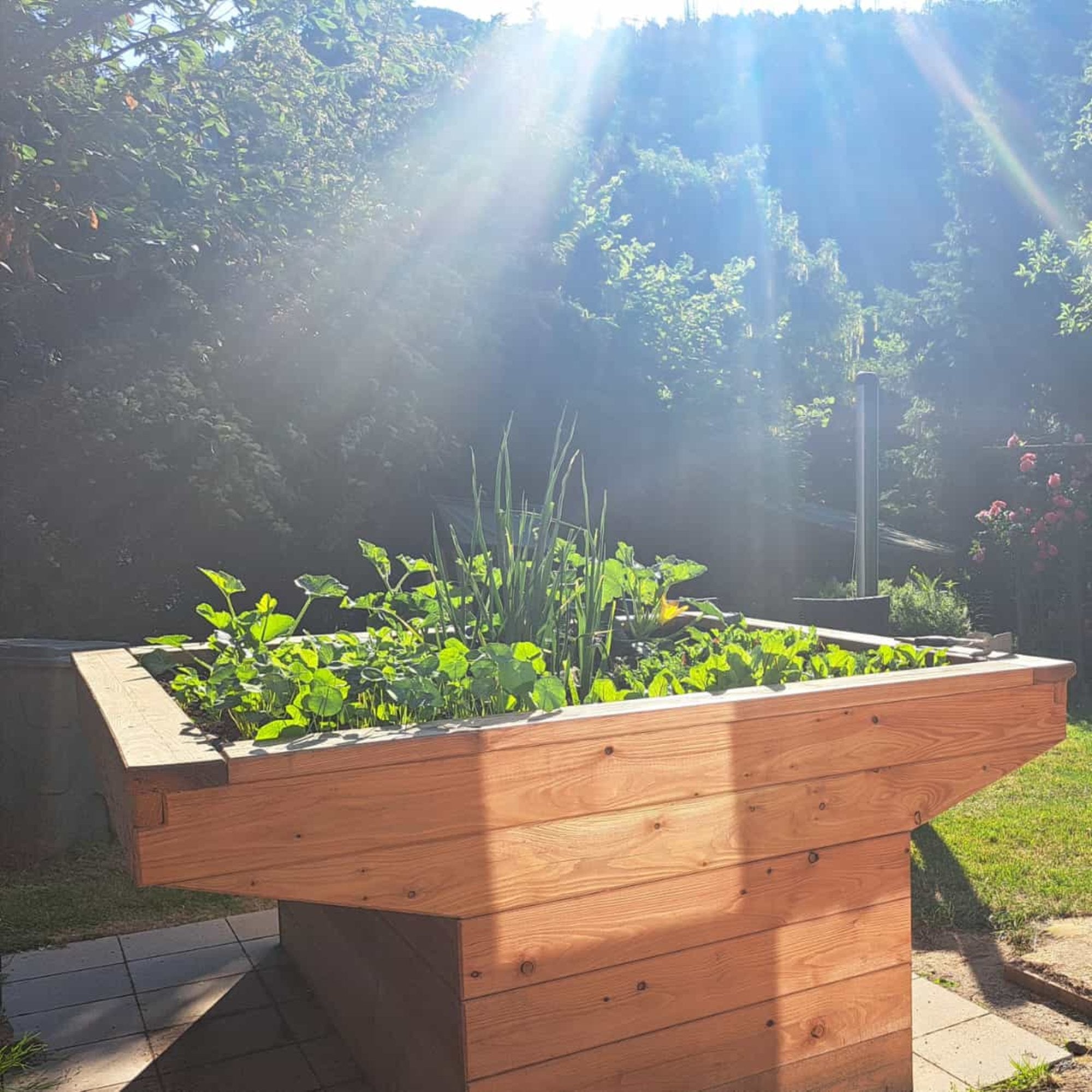 Hochbeete Rollstuhl tauglich