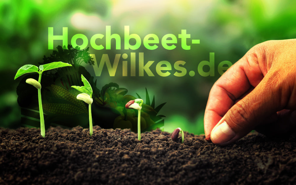 Hochbeet Wilkes Social Sharing Picture